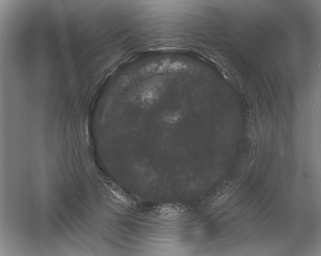 X0000060790697200511101419