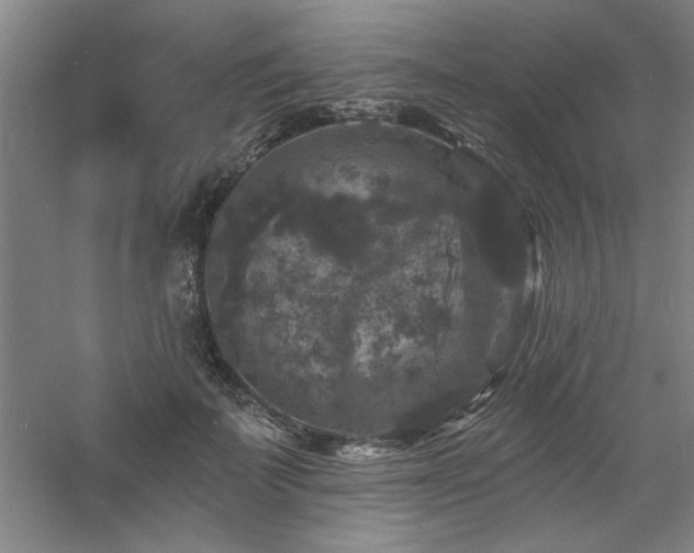 X0000060790699200511101419