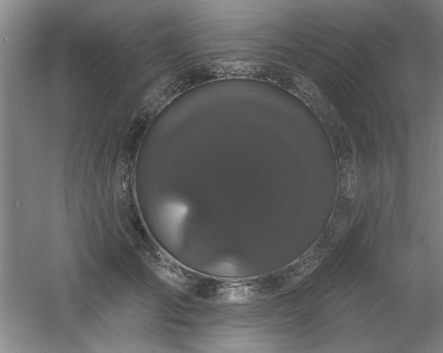 X0000060790701200511101419