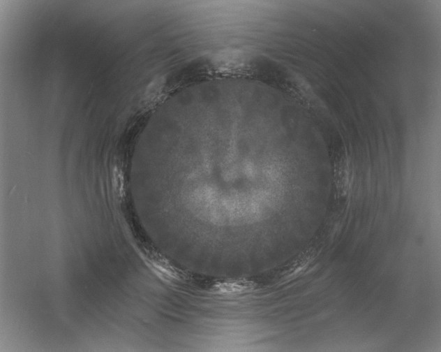 X0000060790703200511101419