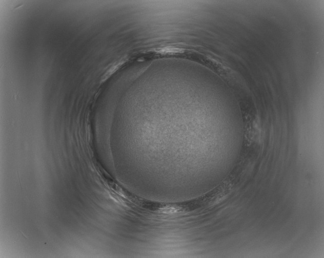 X0000060790704200511101419