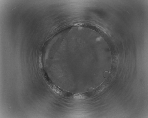 X0000060790707200511101419