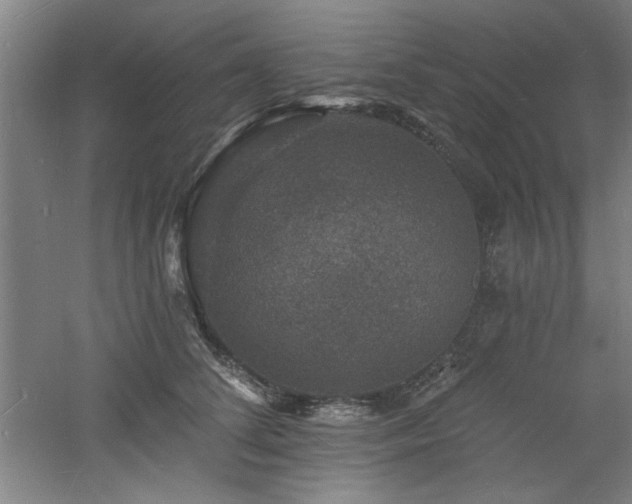 X0000060790708200511101419