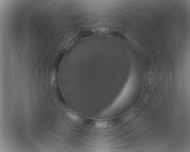 X0000060790709200511101419