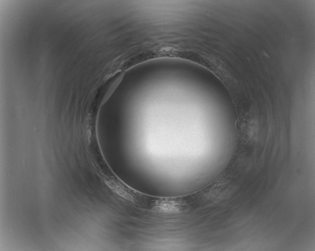 X0000060790710200511101419