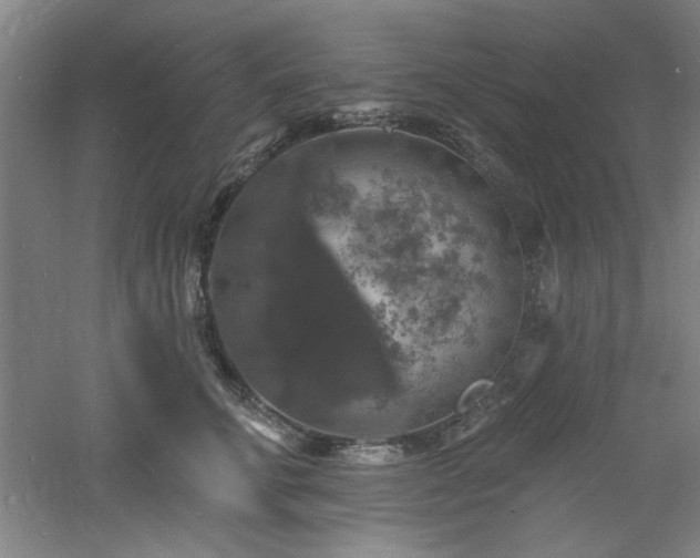 X0000060790711200511101418