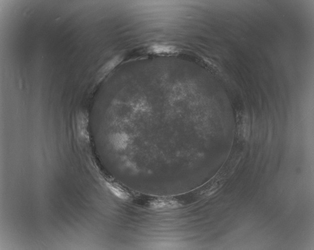 X0000060790712200511101418