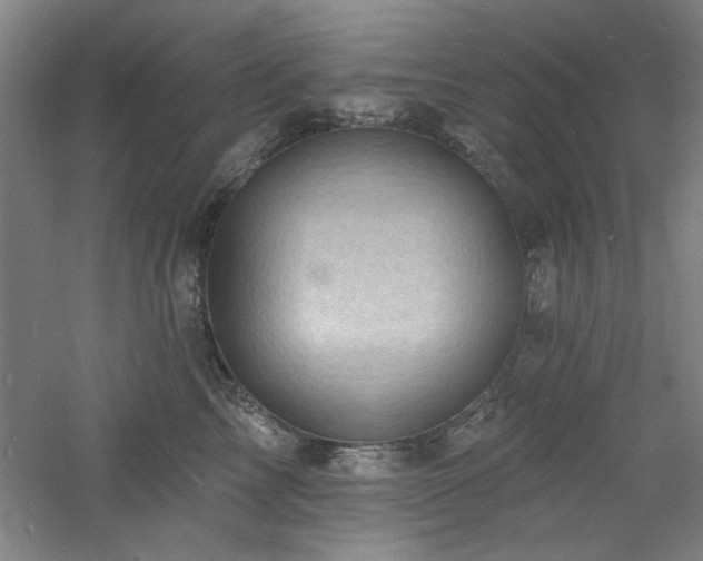 X0000060790713200511101418