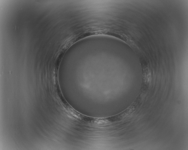 X0000060790716200511101418