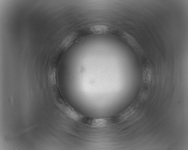 X0000060790717200511101418