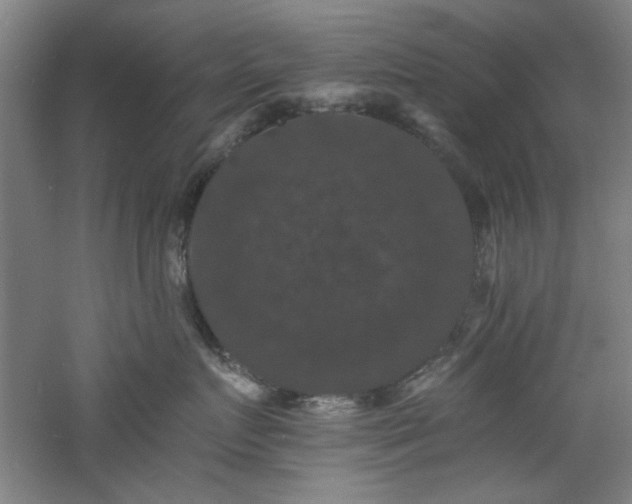 X0000060790719200511101418