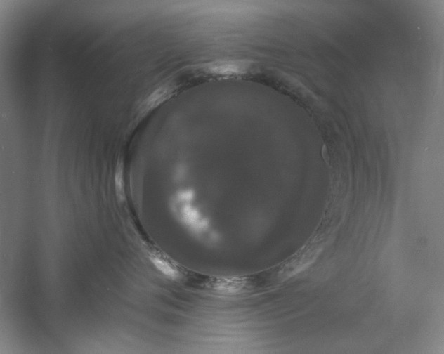 X0000060790720200511101418