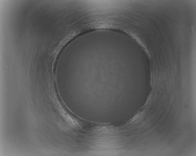 X0000060790721200511101418