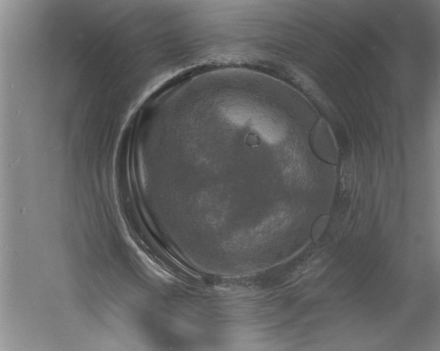 X0000060790722200511101418