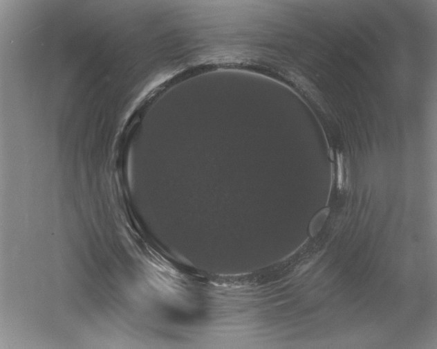 X0000060790723200511101418