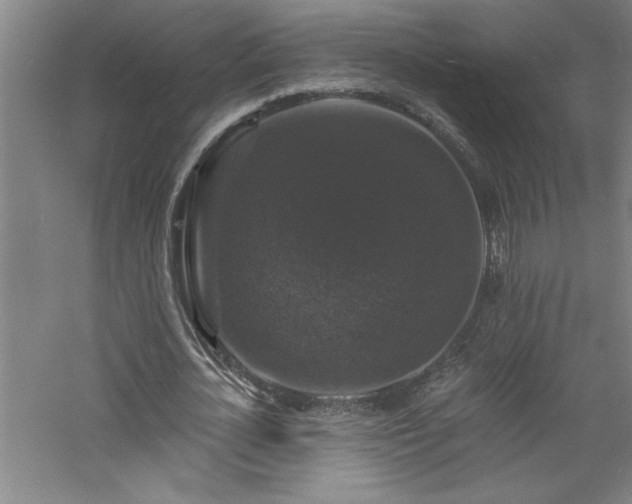 X0000060790724200511101418