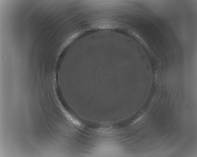 X0000060790725200511101418