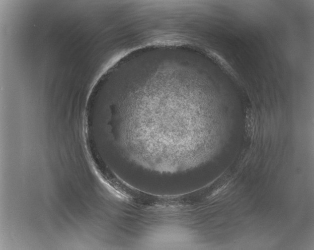 X0000060790726200511101418