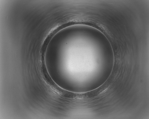 X0000060790727200511101418