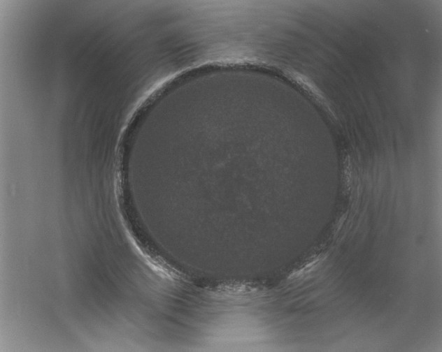 X0000060790728200511101418