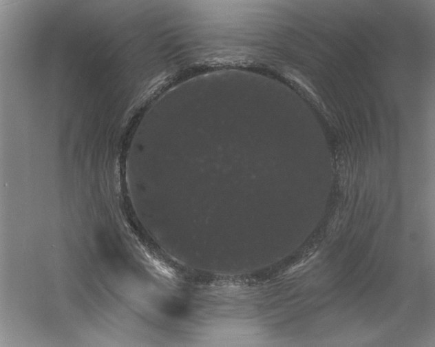 X0000060790729200511101418