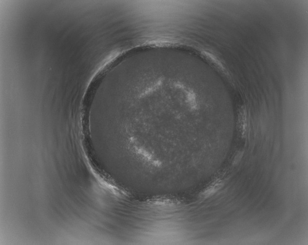 X0000060790730200511101418