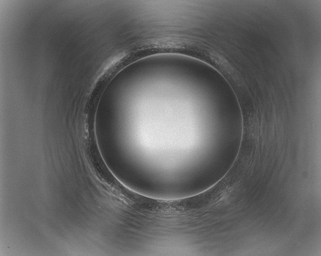 X0000060790731200511101418