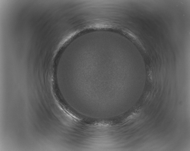 X0000060790732200511101418