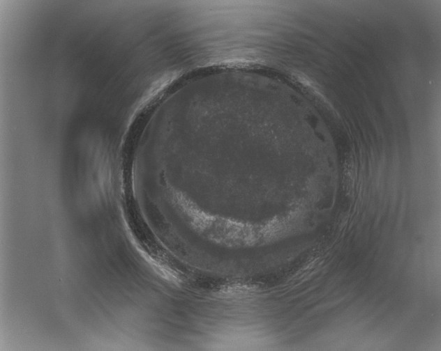 X0000060790734200511101418