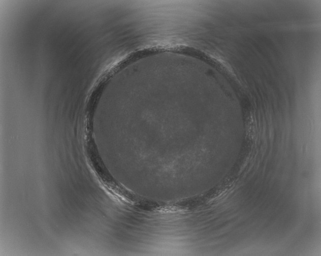 X0000060790736200511101418