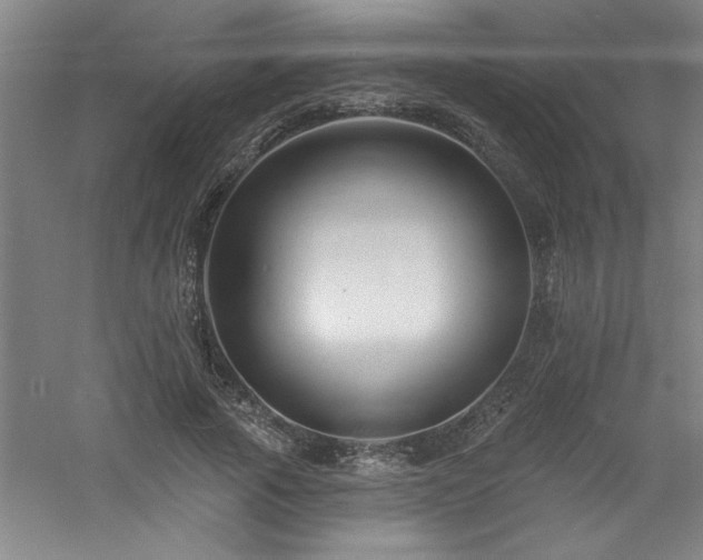 X0000060790737200511101418