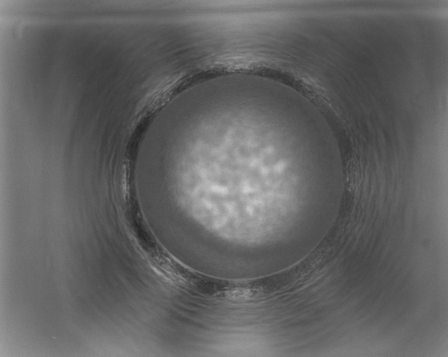 X0000060790740200511101418