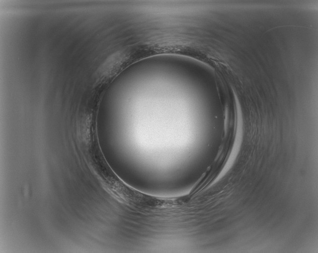 X0000060790742200511101418