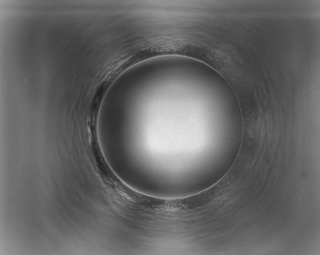 X0000060790743200511101418