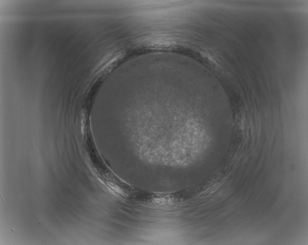 X0000060790744200511101418