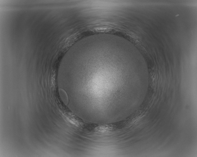 X0000060790745200511101418