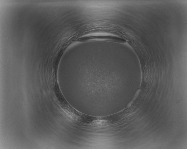 X0000060790748200511101418