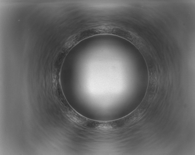 X0000060790749200511101418