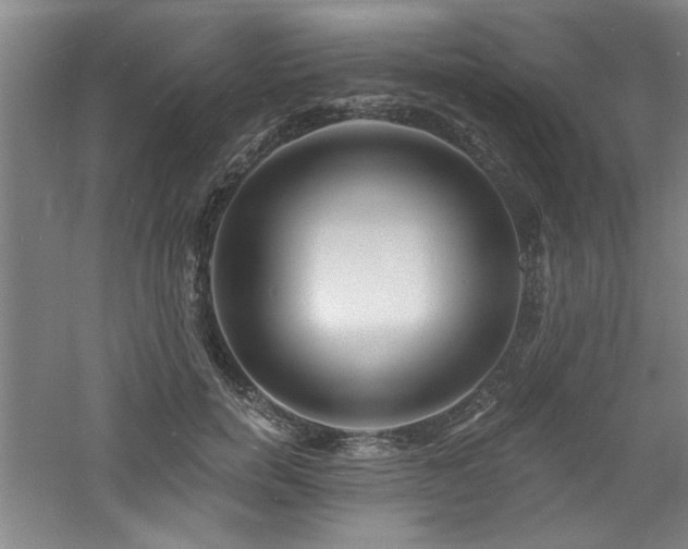 X0000060790750200511101418