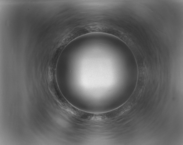 X0000060790751200511101418