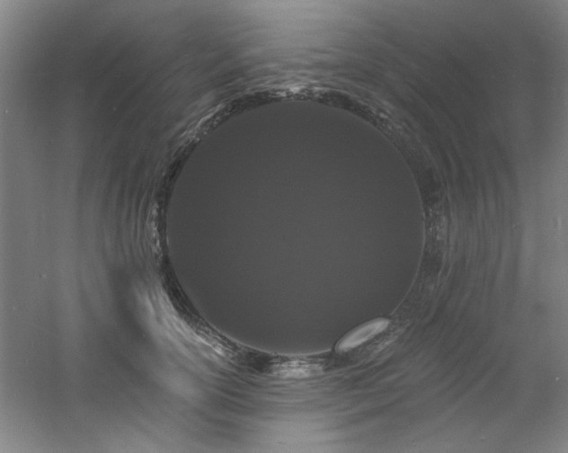 X0000060790754200511101418