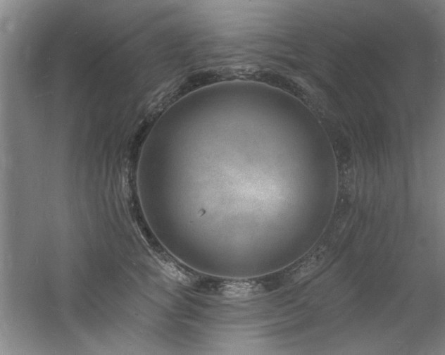 X0000060790757200511101418