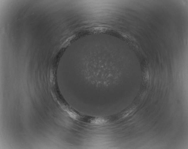 X0000060790759200511101418