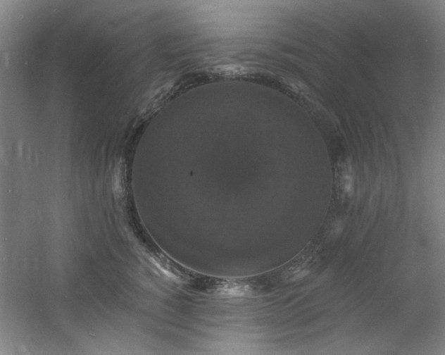 X0000060790760200511101418