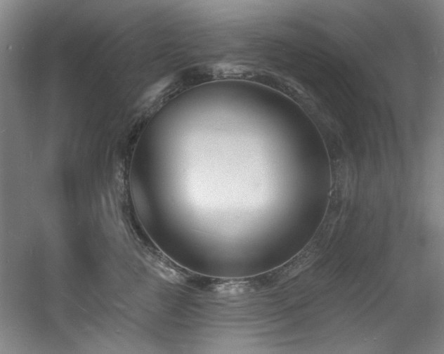 X0000060790761200511101418