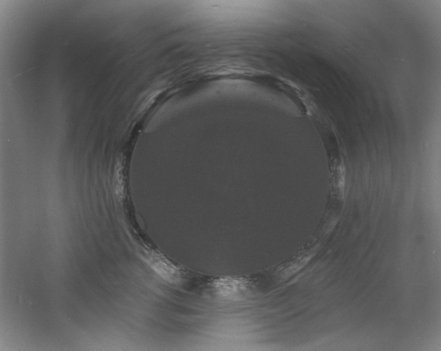 X0000060790762200511101418