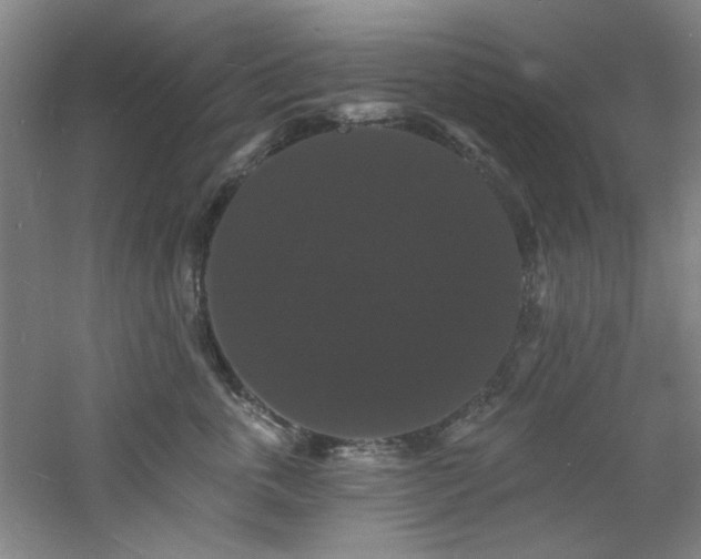 X0000060790763200511101418