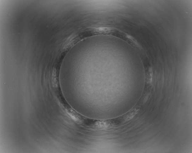 X0000060790764200511101418