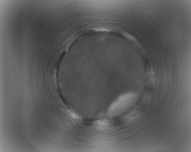 X0000060790765200511101418