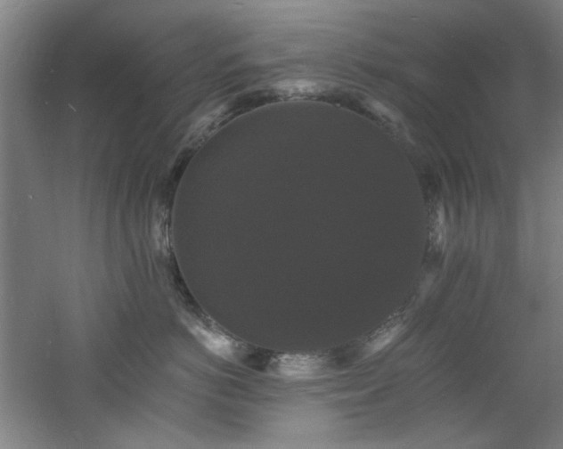 X0000060790766200511101418